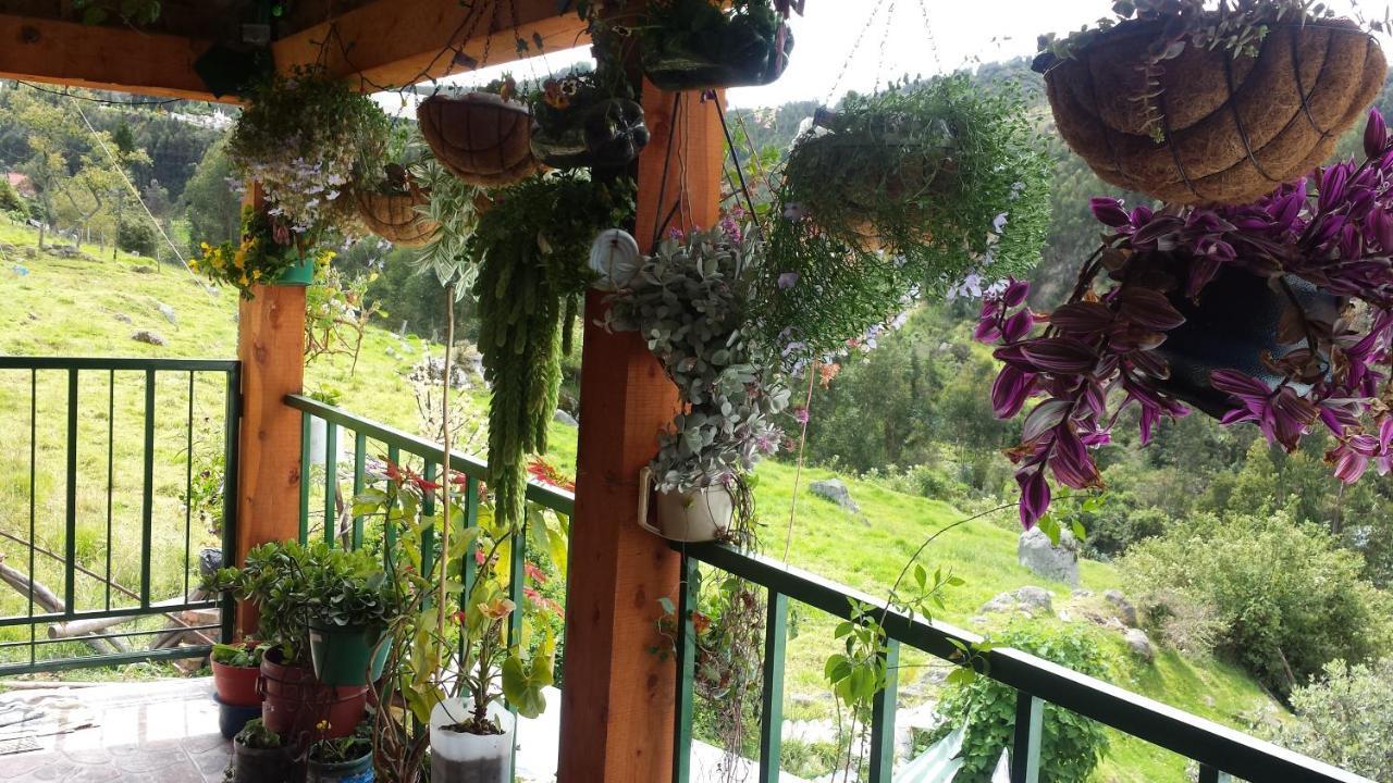 Hospedaje Bella Vista 蒙圭 外观 照片
